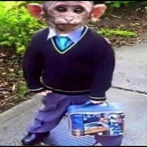 Meet your Posher, Nathan